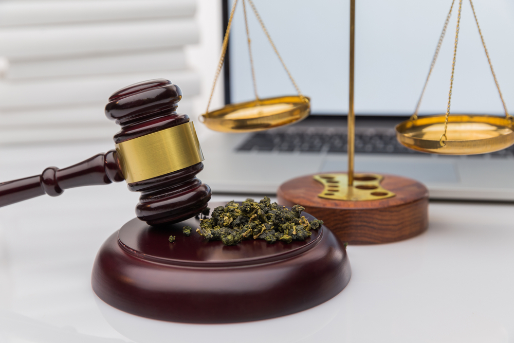 Gavel and scales of justice beside marijuana buds symbolizing drug possession laws in Georgia.